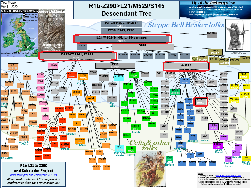 My Y DNA Results John P. Newell s History Quest